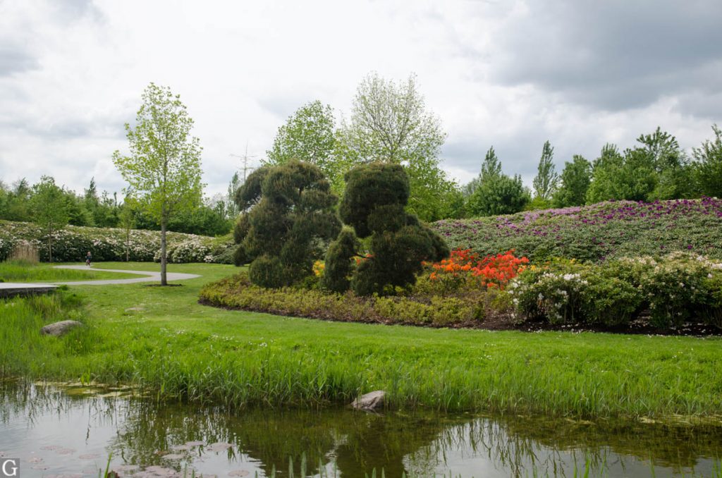 Japanse tuin, Maximapark